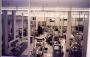 convex0009.jpg - 